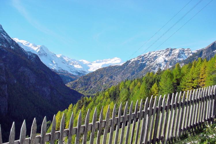 Bergblick über den Gartenzaun