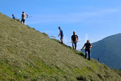 Heuarbeit auf den steilen Hängen des Greit-Hof