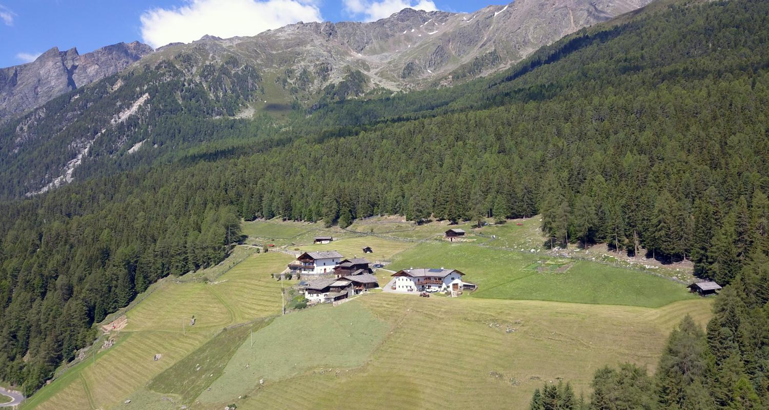 Drohnenaufnahme Greithof mit Bergpanorama